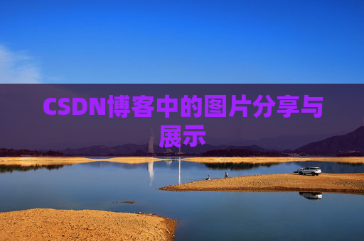 CSDN博客中的图片分享与展示